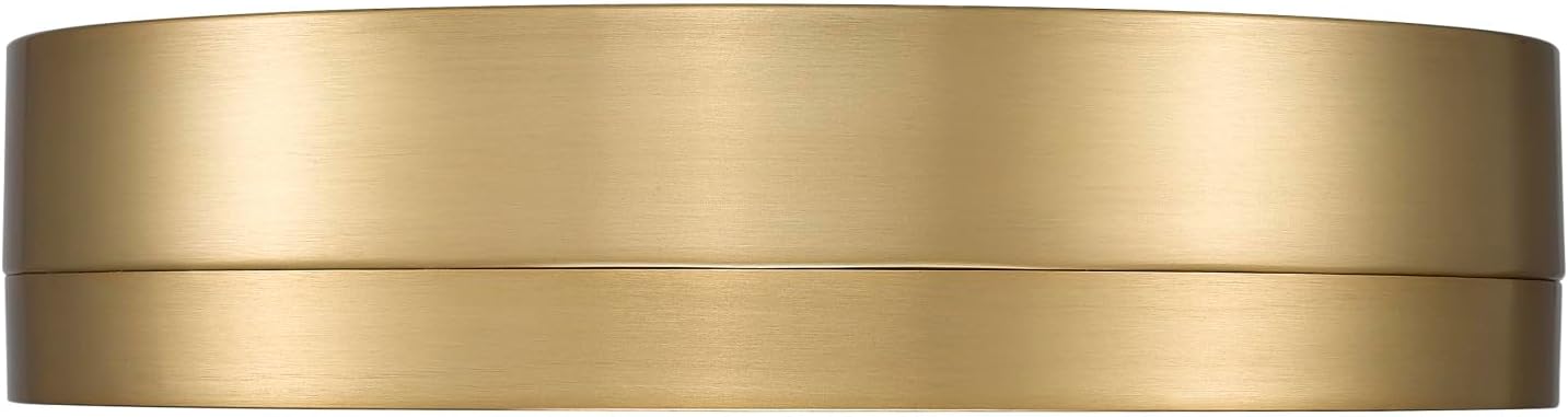 Z-Lite 1006F12-MB-MGLD-LED Algar Flush Mount, 1-Light 24 Watts, Matte Black + Modern Gold