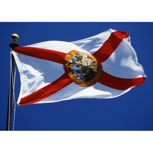 Allied Flag Nylonowa flaga państwowa na zewnątrz, Floryda, 5 m x 10 m