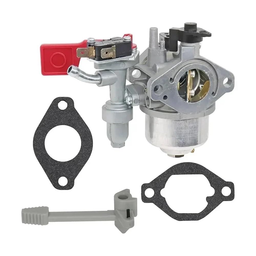 Carburateur moteur Vanguard 799060 stopper les calages et fuites essence carb