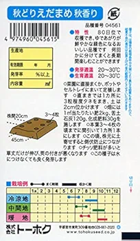 Amazon | 株式会社トーホク 秋どりえだまめ 秋香り 04561 | 野菜