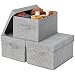 GRANNY SAYS Storage Bins for Shelves with Lids and Handles, Rectangle Storage Basket, Gray, Medium, 3-Pack