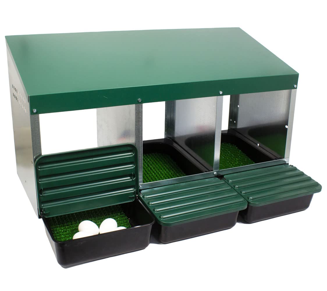 FINCA CASAREJO Pondoir Premium pour Poules - 3 Compartiments avec Tapis - Nid Confortable en Tôle Galvanisée - Résistant