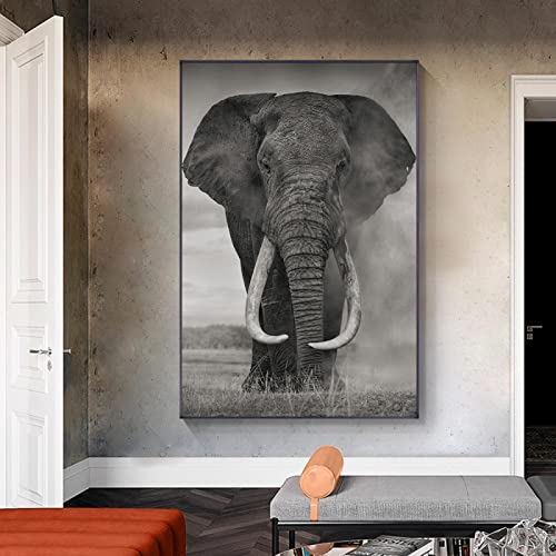 GEMMII Toile Decoration Murale XXL Africain Sauvage Éléphant Peinture Noir Blanc Animal Affiches et Impression Mur Art Photo pour Salon Décor 42x60 cm Sans...