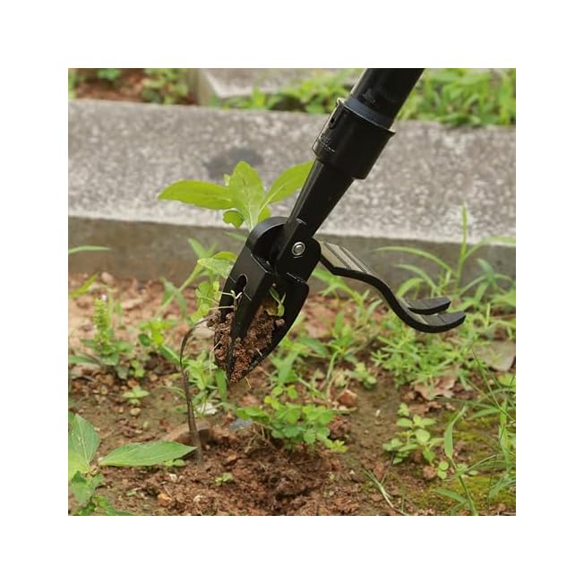 BuyLaunch Manual Weed Puller Tool 4-Claw Steel Head Weed Remover with Long Handle for Garden