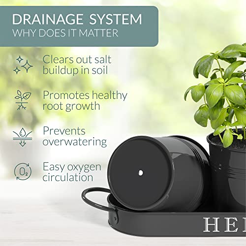 Barnyard Designs Farmhouse Herb Garden Planter Indoor Planter Set With Tray Or Outdoor Apartment Window Planter Box, Windowsill Planter Box, Indoor Herb Planter Garden Pots Herb Pots, Black, Set/3 #TOP4