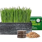 The Cat Ladies Cat Grass Kit with Black Rustic Wooden Planter, Organic Cat Grass Seeds and Soil. Easy to Grow Cat Grass for Indoor Cats. Prevent Hairballs and Aid Digestion
