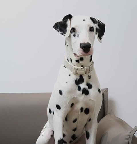 Miniatura 5 de DOGWONG - Collar de algodón de cáñamo para perro, caqui, resistente, ajustable, suave tela natural, lindo collar de boda para perros pequeños,