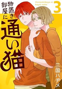 物置き部屋に通い猫【おまけ描き下ろし付き】 3