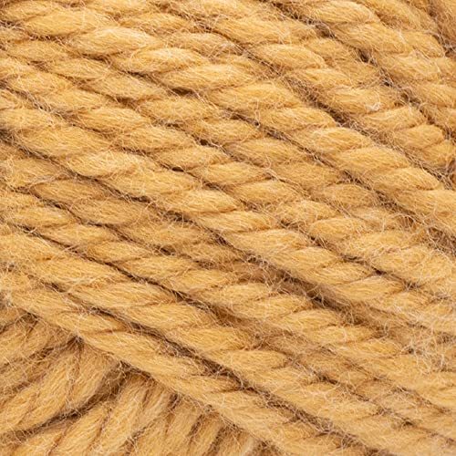 Image of Lion Brand Yarn Respun Thick & Quick Yarn for Knitting and Crocheting, Squash, 1 Pack