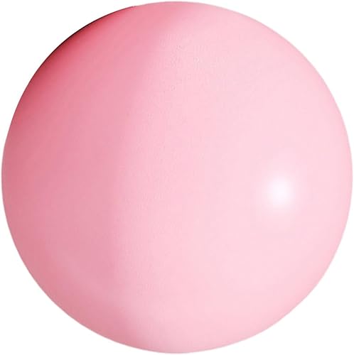 Pelota de pilates de 9.8 in y 10 pulgadas, pequeño ejercicio, gimnasio para gimnasio en casa, equilibrios, núcleos, entrenamiento