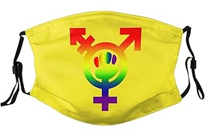 Feminist Pride Flag Protective Face Mask