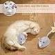 Katzenspielzeug Elektrisch Spielmaus, 2 Stück Magic Maus Katze, Katzenspielzeug Maus, Interaktives Katzen-spielzeug M-aus, Katzen-spielzeug Ma-us Elektrisch, Interaktive Spielzeug Ma-us für Katze