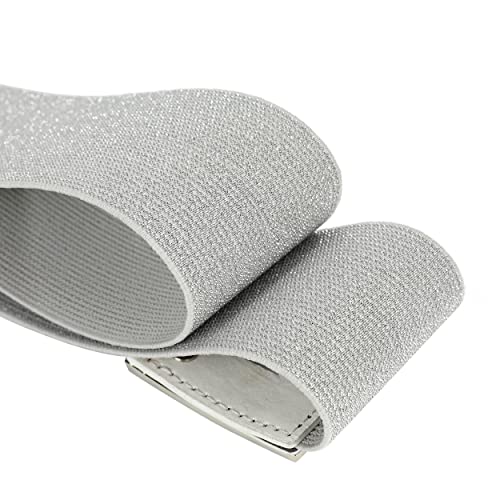 Women's Stretchy Waist Belt Vintage Retro Elastic Cinch Belts Waistband For Dresses (Silver+Silver Buckle, Suit For Waist Size 27"-35")4