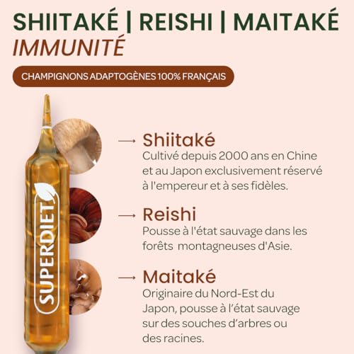 Shiitake Reishi Maitake immunité SUPERDIET ampoules forme - 4