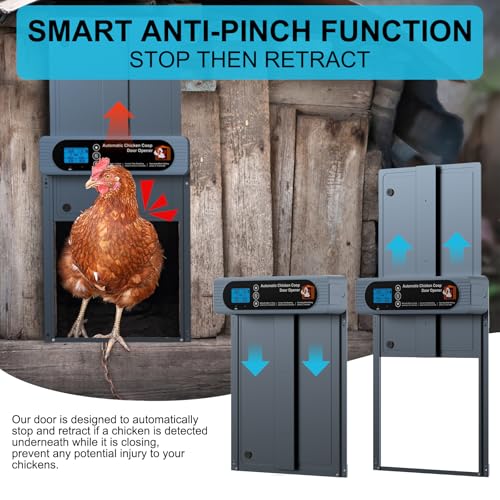 Chicken Coop Automatic Door