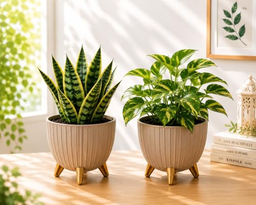 Image of Xmart India 7 Inch Decorative Plant Pot for Indoor & Outdoor Plants | Planter Pot with Stand & Legs |Ribbed Flower Pot for Home, Balcony, Garden, Living Room & Office | Plant Container (2, Ivory)