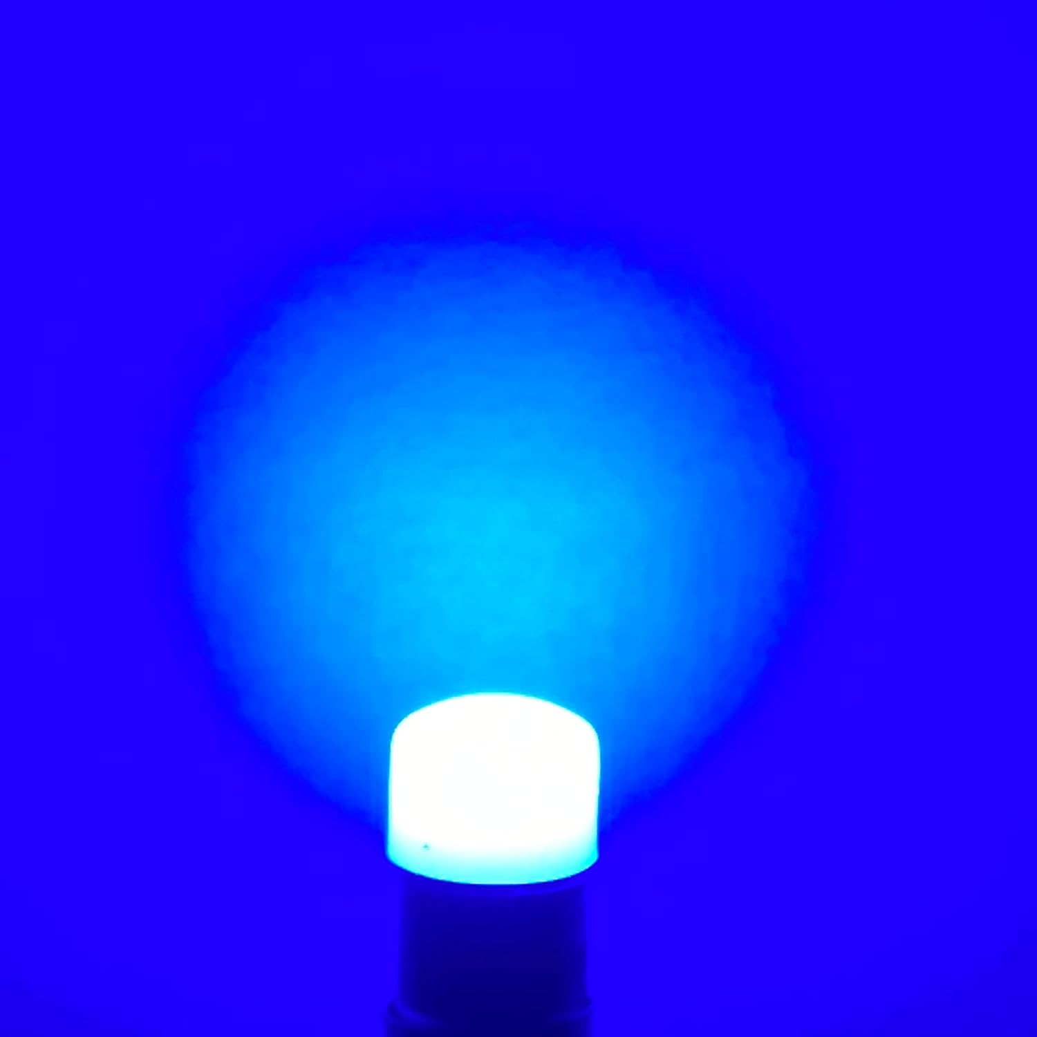#53, 1895, 57, 182, 363 LED Flood Replacement Ba9s Base | Bulb Shape: G4-1/2 (10-Pack; Blue)