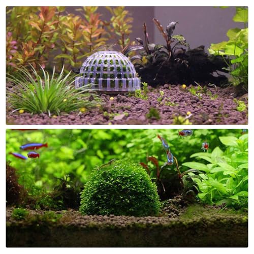 Image of WishLotus 2Pcs Transparent Plastic Aquarium Moss Ball Holder, Moss Accessory Landscape Ornaments for Fish Tank