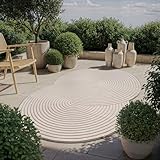 the carpet