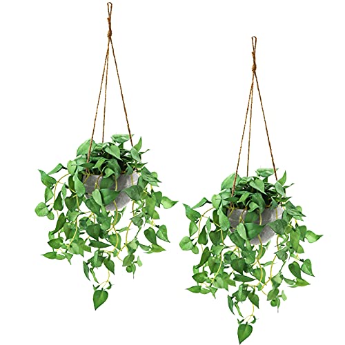 Comparison: Best Pot For Anthurium 10 TNNTOPELE Hanging Plant Fake Plants with Pots, 2 Pack Artificial Plants, Faux Anthurium Leaf Basket for Wall Home Room Indoor Outdoor Decor