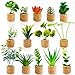 JUSTDOLIFE Mini aimants de réfrigérateur pour plantes succulentes artificielles - Aimants de réfrigérateur en pot - Autocollants mignons pour tableaux magnétiques - Décoration de maison ou de bureau