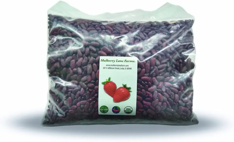 Kidney Beans, Dark Red, 5 Pounds Dried, USDA Certified Organic, Non-GMO Bulk, Product of USA, Mulberry Lane Farms USDA Organic