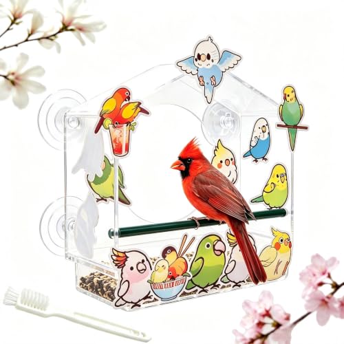 IILIKEBIRD Clear Acrylic Window Bird Feeder with Suction Cups &