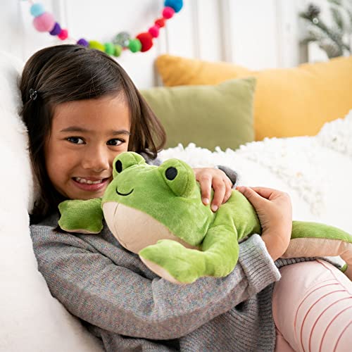 Image of KiwiCo Froggie Lab Dissection Plush Toy | 5-Piece Organ Anatomy Learning Activity | Interactive Biology STEM Stuffed Animal for Kids Ages 3+ - Art & Science Gift
