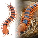 SUPYINI Infrarotgesteuertes Realistisches Hundertfüßer-Spielzeug, Ferngesteuertes Scolopendra-Streich-Trick-Spielspaßspielzeug für Kinder