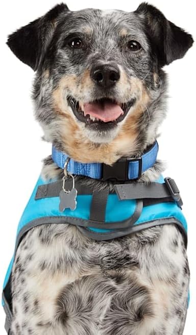 YOULY by Petco Dog Floatation Vest with Shark Fin XX-Large