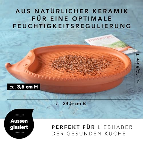 Römertopf Kresseigel aus naturreinem Ton, Kräutertier mit Kressesamen, ca. 24 x 14 cm, Kresseschale für Erde-lose Kressezucht, als Blumentopf nutzbar, spülmaschinengeeignet, ideal für Küche & Kinder