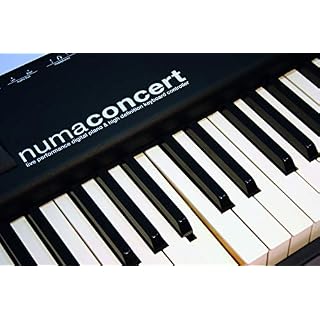 Studiologic – NUMA CONCERT – Piano de scène – 88 notes toucher lourd – 128 voix de polyphonie – touche bois et surface… - Les Beatles, Paul McCartney, John Lennon, RIngo Starr, George Harrison Studiologic - NUMA CONCERT - Piano de scène - 88 notes toucher lourd - 128 voix de polyphonie - touche bois et surface… – Image 6