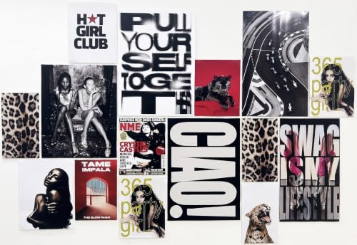 Image of 15 Piece Aesthetic Poster Set | 300 GSM Multi-Sized Wall Posters with Adhesive Tape | Fashion, Music, Animal Print & Pop Art for Bedroom, Room Decor, Home Decor, Wall Art & Aesthetic Room Decor