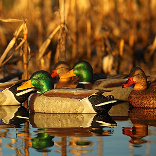 GreenHead Gear Pro-Grade Duck Decoy,Mallards/Sleeper-Rester Pack,1/2 Dozen 75108