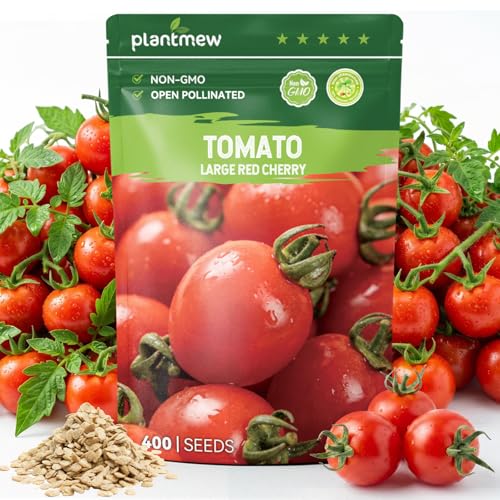 PLANTMEW 400 Heirloom Large Red Cherry Tomato Seeds for Planting – Sweet Bite-Sized Fruit, High...