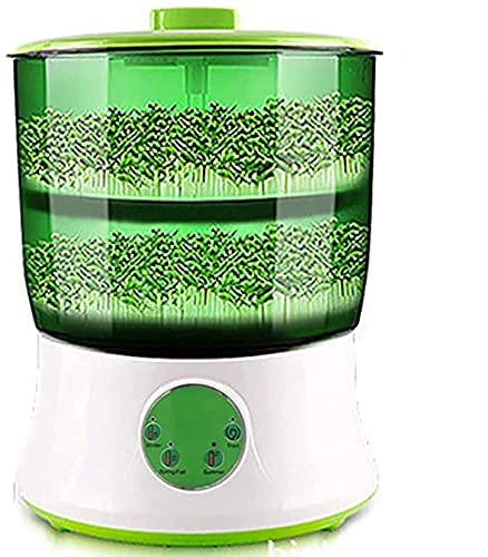 Machine à germer les graines automatique pour préparer des salades fraîches en cuisine