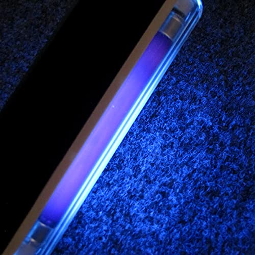 Treasure Gurus Lanterna LED portátil 2 em 1 365 nM UV ultravioleta luz negra viagem luz negra detect
