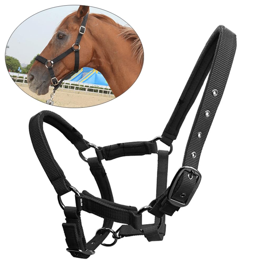 Namvo Licol Pour Cheval Avec Rêne, Bride Réglable Haute Densité De