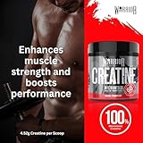 Warrior Creatine Monohydrate Powder 300g (60 Servings) – Pure Micronised Creatine Powder Supplement for Men & Women, Pre & Post Workout Strength, Muscle Growth & Recovery, Vegan – Savage Strawberry - Image 4