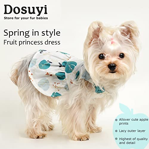 Xs Dog Clothes - Dog Clothes For Small Dogs Girl - Dog Dresses -Puppy Clothes For Small Dogs - Teacup Chihuahua Dog Clothes - Summer Princess Dog Dress Pet Puppy Cat Apparel Dog Birthday Outfit #TOP1