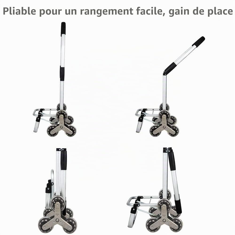Chariot de Courses à 6 Roues : Caddie | Shopping Trolley Pliable Adapté au Monte-Escalier avec Sac en Toile de Rangement Imperméable & Amovible （Compartiment Isotherme） Fleurs
