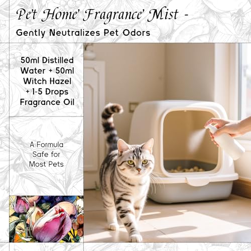 HIQILI Aceite Esencial Naranja Dulce 30ML y Aceite Aromático 150ML miniatura 5