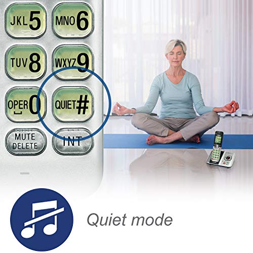 VTech CS   6529-2 DECT 6.0 Phone Answering System with Caller ID/Call Waiting, 2 Cordless Handsets, Silver/Black