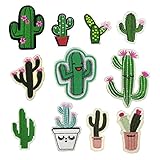 Romanlin 6pcs/set Decorative Patches for Jacket Embroidered Iron on or Sew on Badges Appliques for Clothes Cactus