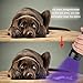 UV Flashlight Black light super 51 LED Handheld Pet Dog Cat Urine Carpet stain detector 395nm Scorpion Hunting,Ultraviolet Lightweight Portable Flashlight,bed bug,Leakage,ore,Banknote,ID card detector