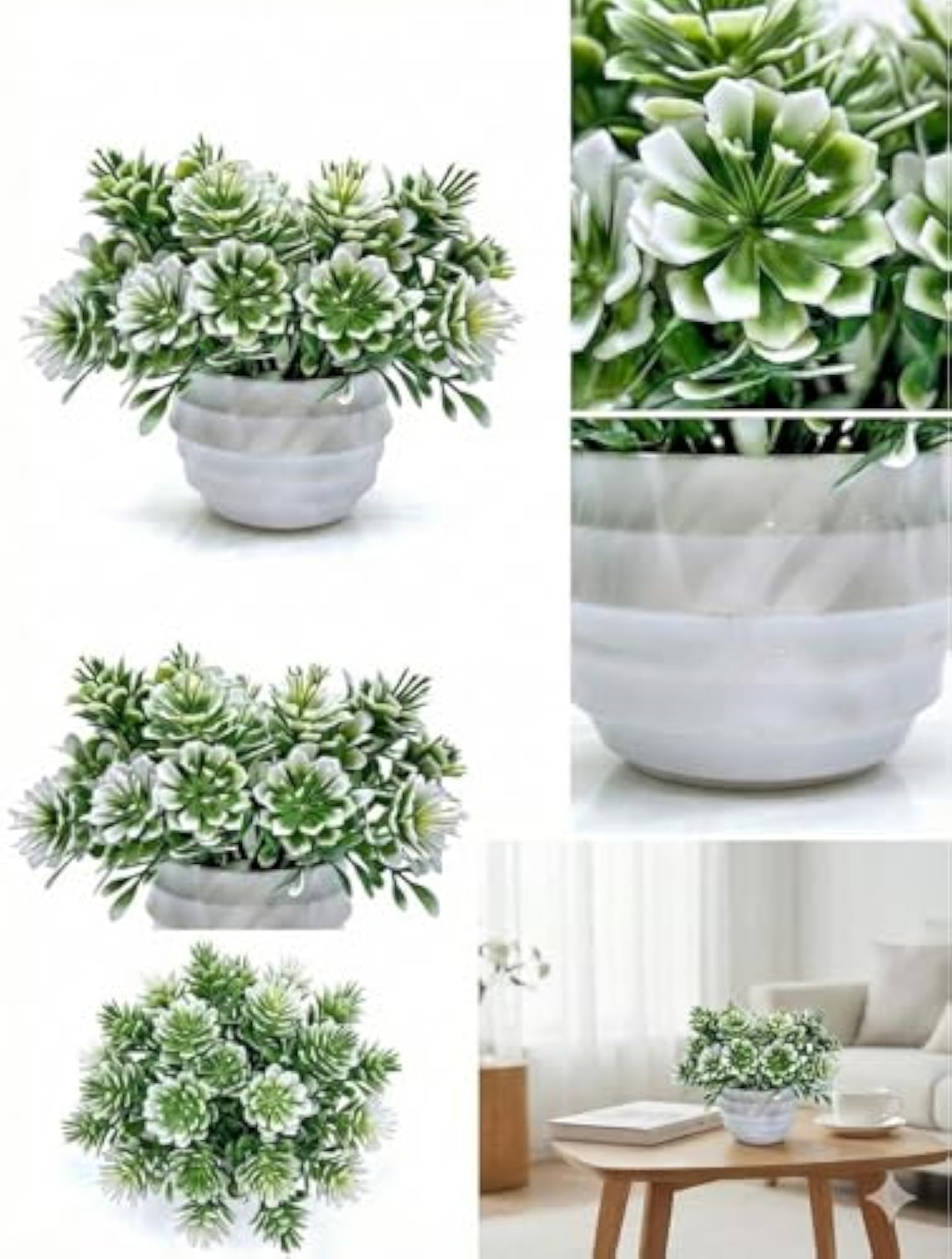 Artificial Succulent Plants in White Plastic Pots, Set of 2