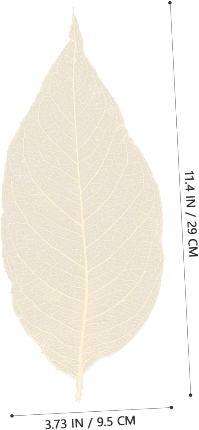 VALICLUD 100pcs Dried Leaf Veins Specimen Natural Skeleton Leaves for DIY Bookmarks Greeting Cards Scrapbooks Wedding Decorations and Craft Projects