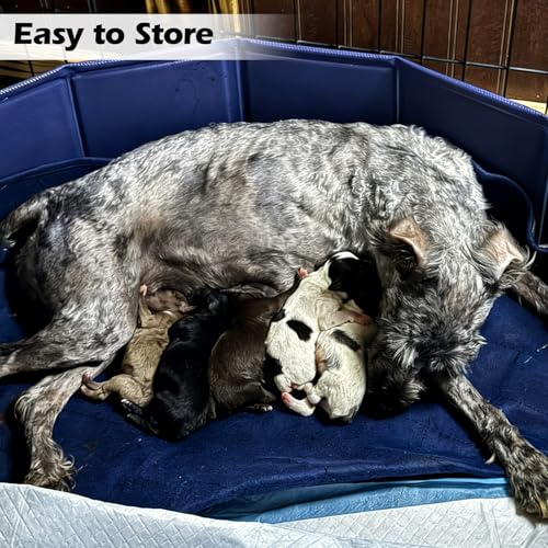 Image of Artilife Dog Whelping Box,Dog Whelping Box Pool,Whelping Box for Dogs Birthing,Welping Box Whelping Pen Whelping Box for Puppies Whelping Supplies (Grey, 39 inch Dia.x12 H)