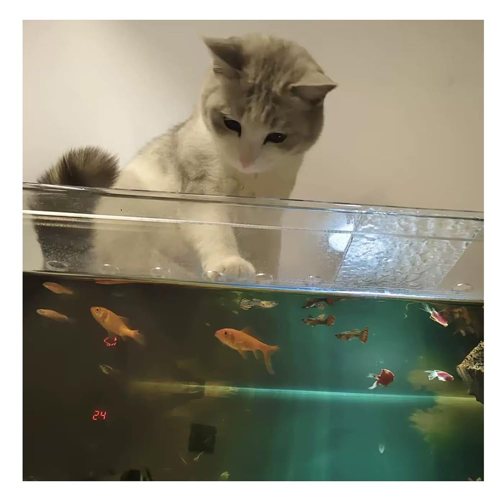 Rygcrud Grand Couvercle D'aquarium en Acrylique, Découpable, avec Trou D'aération, Transparent, Résistant Aux Chats, Empêchant Les Poissons De Sauter(80x20x3cm)