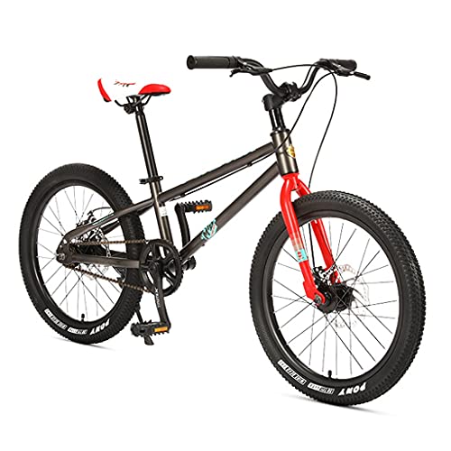 ZXQZ Mountain Bike, 18''/20'' dor Men and Women, Bicycle wit